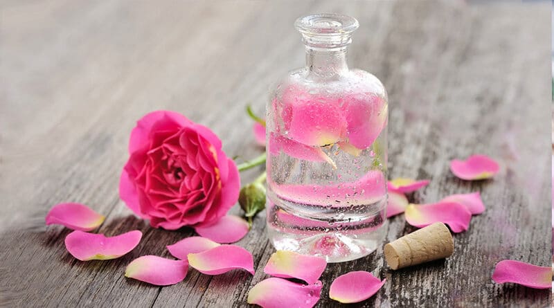 گلاب ربیع کاشان تولید شده با تقطیر سنتی گل محمدی